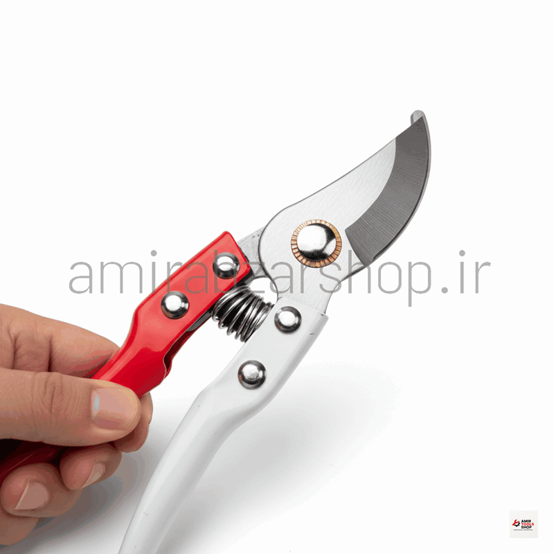 قیچی هرس